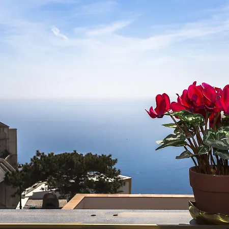 Hills Amalfi